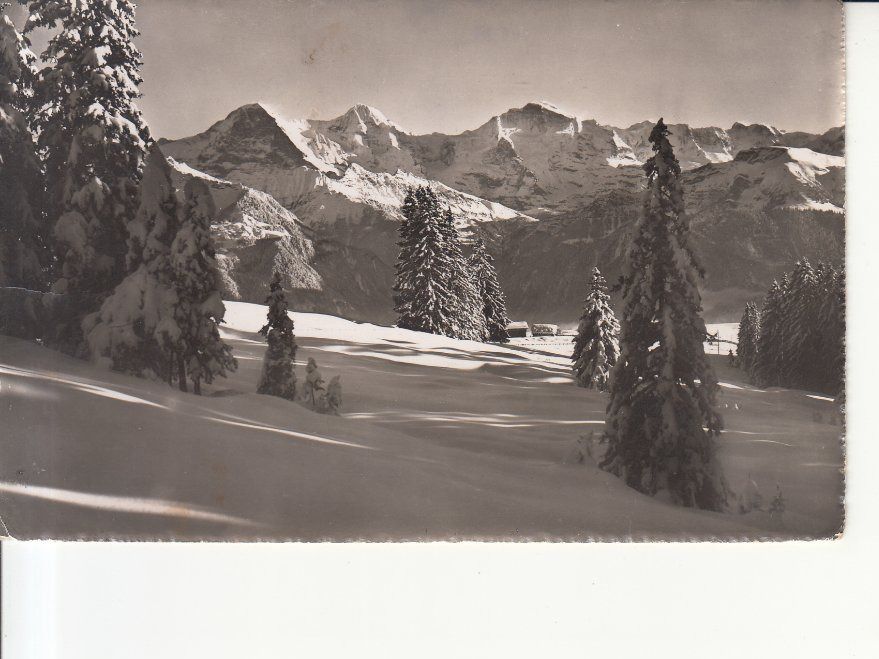 Cartoline postali: Beatenberg 1953 – Usato da Bürglen TG venduto da StampGraf