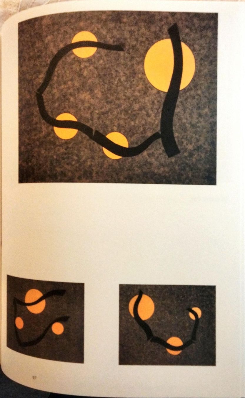 Libri: Game of Forms, Geta Brătescu, Hauser & Wirth – Nuovo (secondo la descrizione) da Niederglatt ZH venduto da Siegfried67 3
