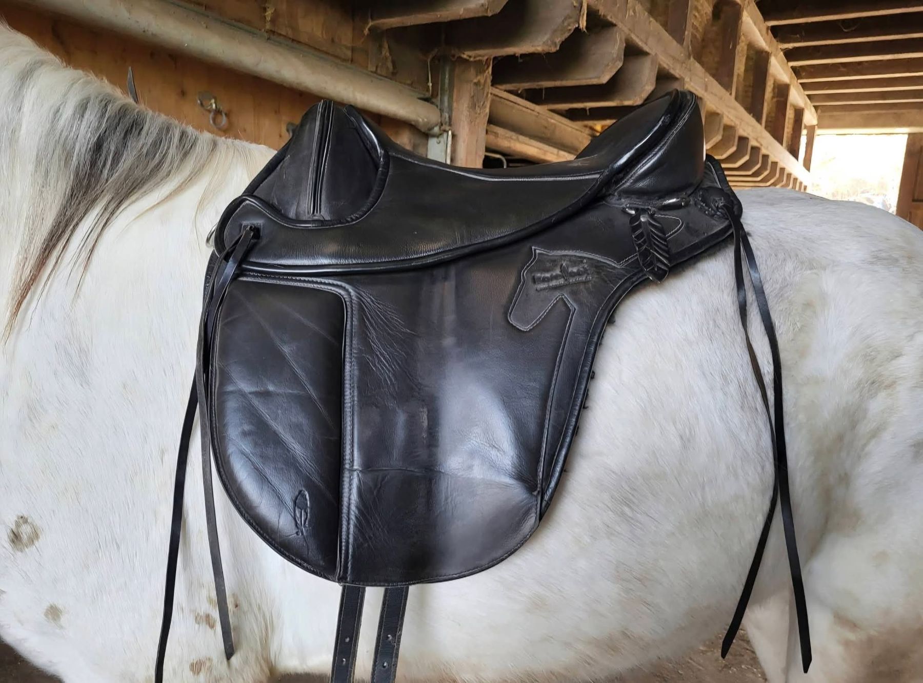 Selle & Accessori: Barefoot Sattel – Usato da Dietikon venduto da Wutho