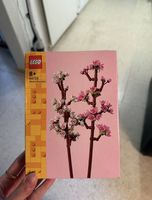 LEGO 40725 Kirschblüten, Neu, ungeöffnet