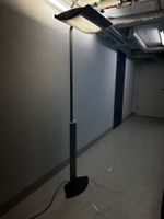 Büro-Stehlampe – modern, viel Licht