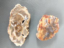 2 Stück versteinerte Holzscheiben beige  rot neu deko set 21