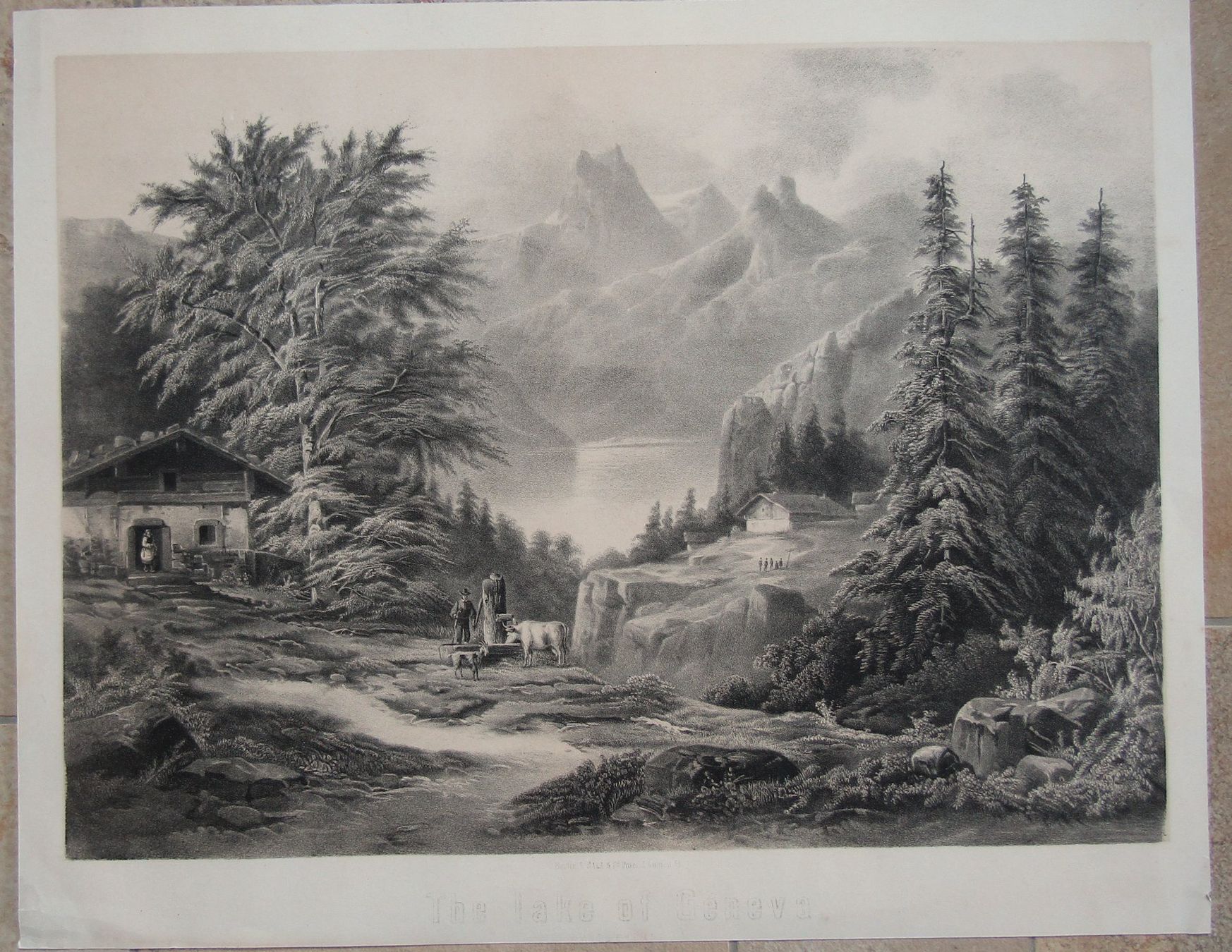 Incisioni: Genfersee seltene Lithographie bei Sala – Usato da Rafz venduto da Helvet32