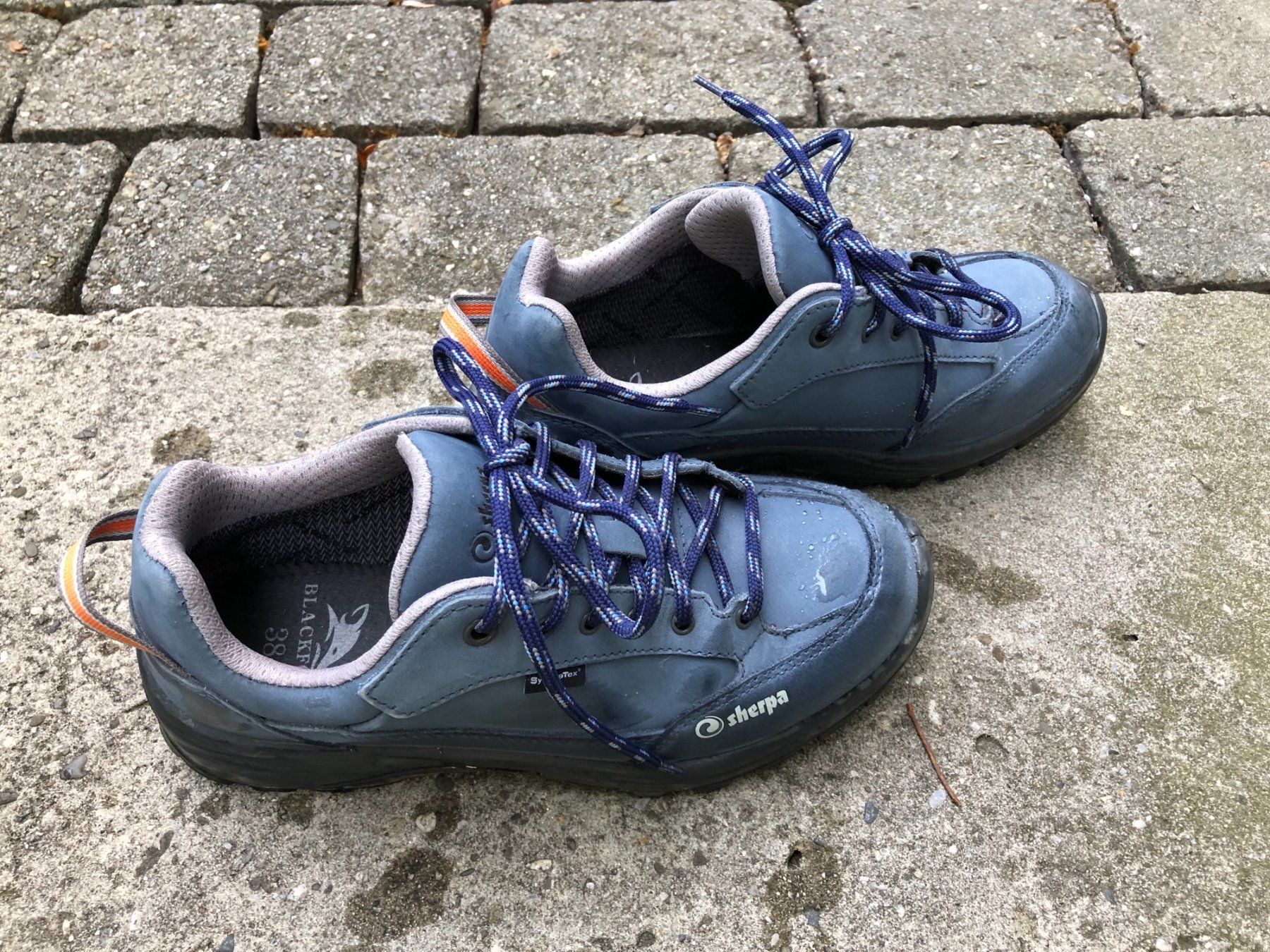 Sherpa Scarpe da donna: Sherpa Blackfox Trekkingschuhe Wanderschuhe Damen 38 – Usato da Weissbad venduto da Bausely