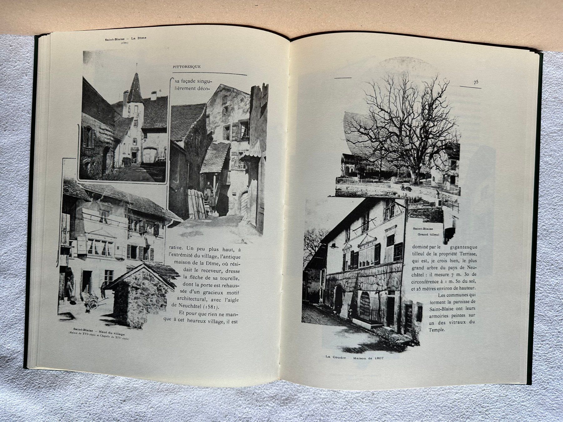 Libri: Livre "Neuchâtel pittoresque" de Philippe Godet – Usato da Ste-Croix venduto da BuffetSC 4