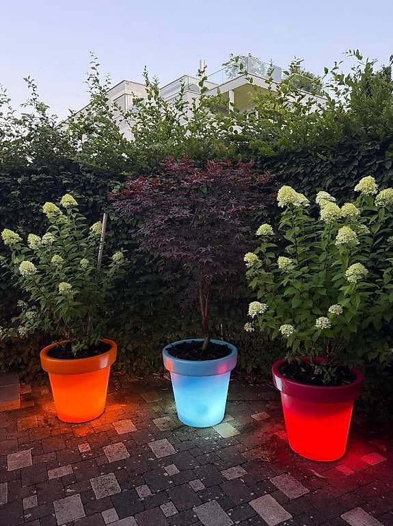 Blumentöpfe: Garten Deko: BLOOM! Blumentopf mit LED  – Gebraucht aus Zürich von the_g8qw 1