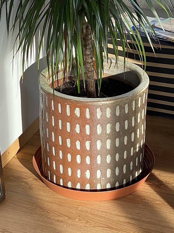 Pots de fleurs: Topf Ton 38x39 Blumentopf – D'occasion à Zürich par nisone