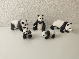 Schleich Panda Familie Pandabär Wild Life Zoo