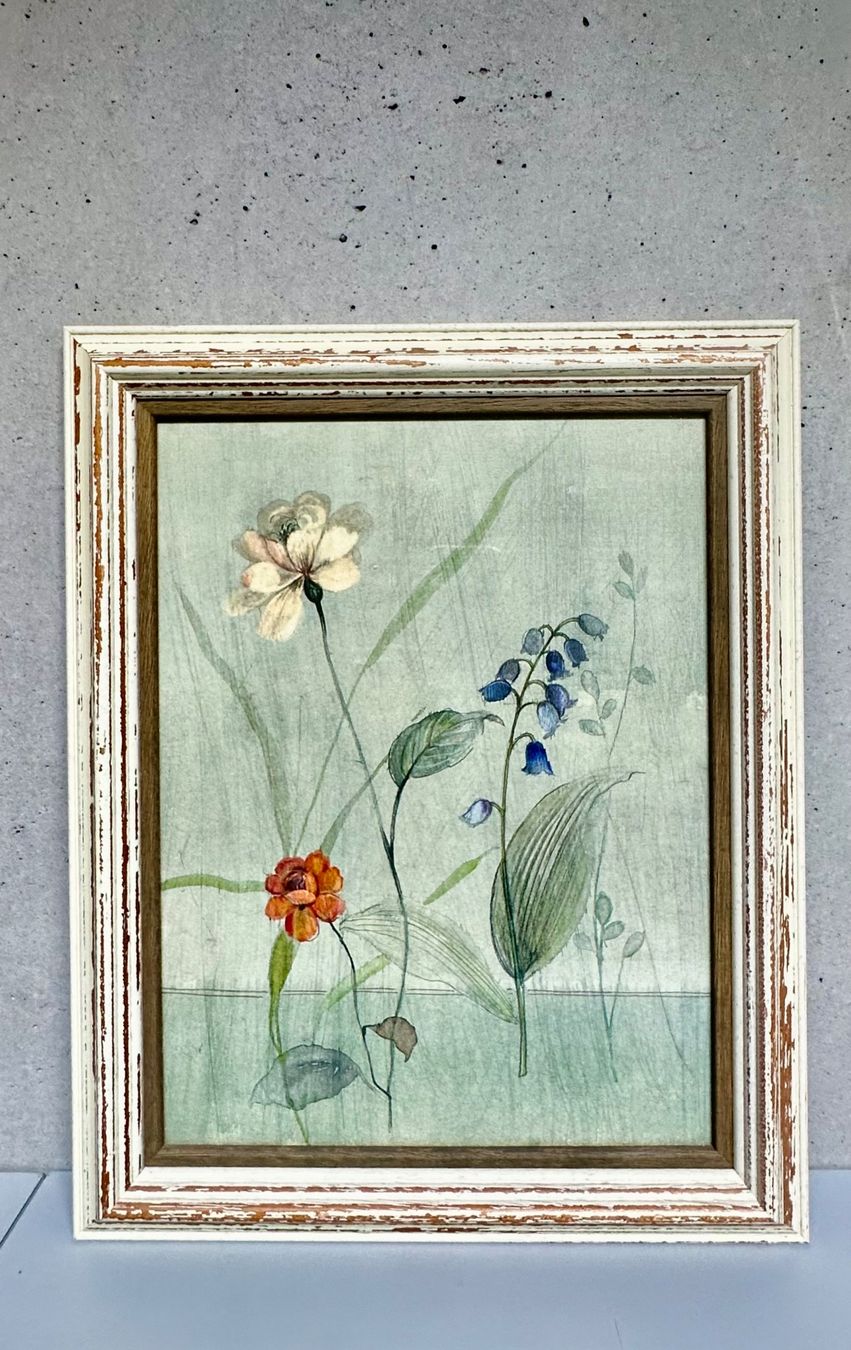Foto & Immagini: Bilder mit Blumenmotiven – Usato da Leuk-Stadt venduto da 2thcircle 3