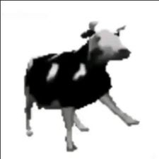 Profile image of janniskk