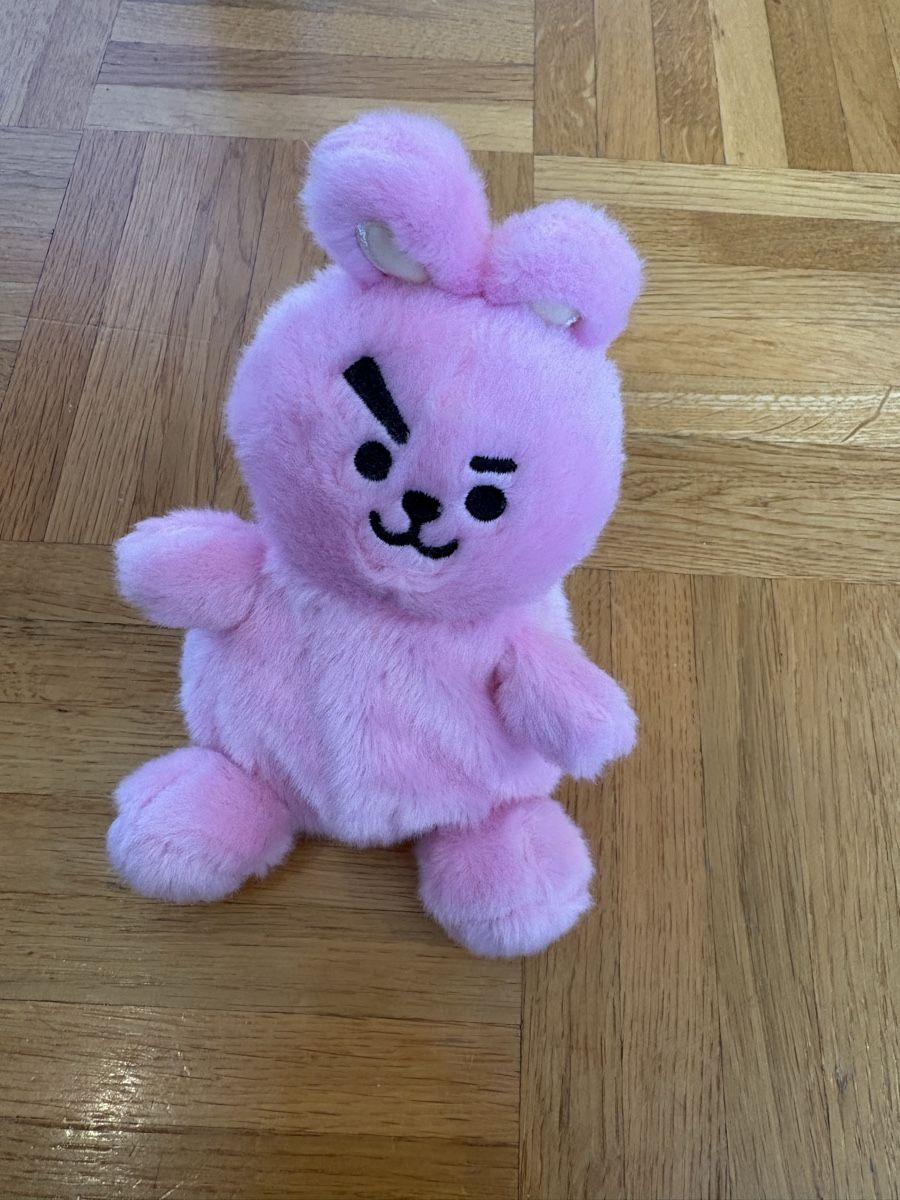 Jouets: BT21 Cooky – Neuf (Voir description) à Therwil par nin_n9zp
