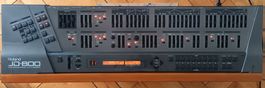 Roland JD-800 Synthesizer ohne Tastatur