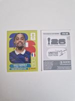 Panini Sticker FRA16