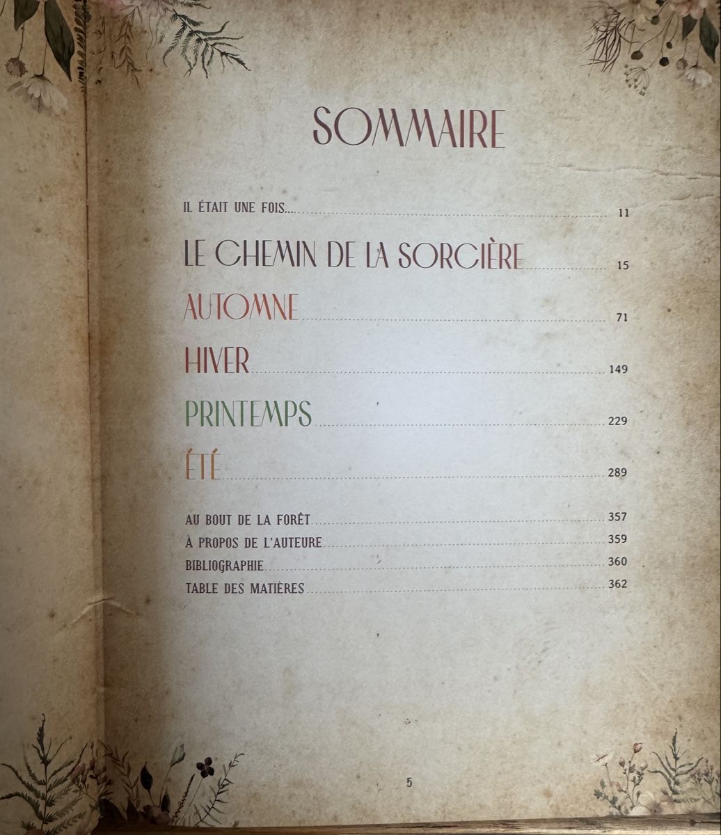Libri: Mon grimoire de rituels & astuces de sorcière – Nuovo (secondo la descrizione) da Riddes venduto da pullrose 2