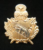Pin * Kantonspolizei Bern * Police Cantonale Berne