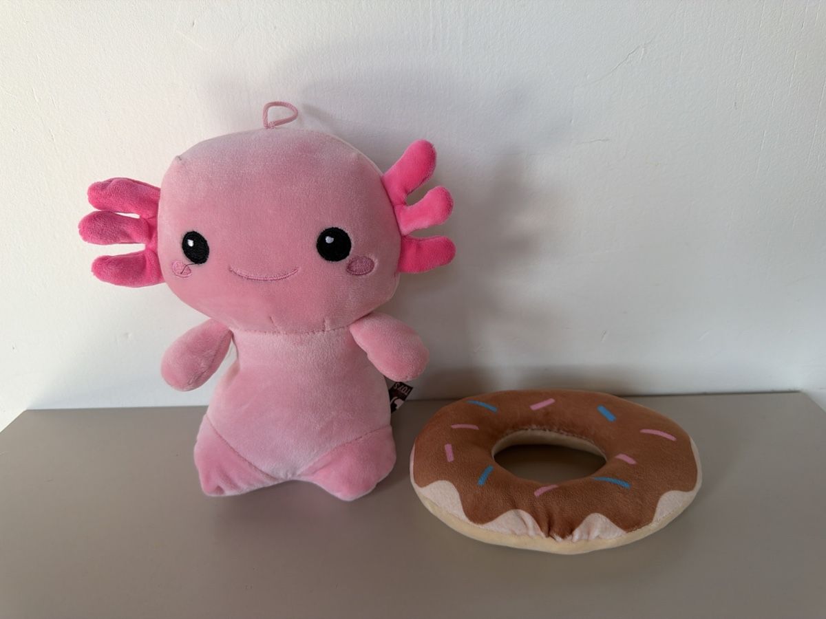 Giocattoli: Axolotl Plüschtier – Usato da Windisch venduto da franzidanzi 1