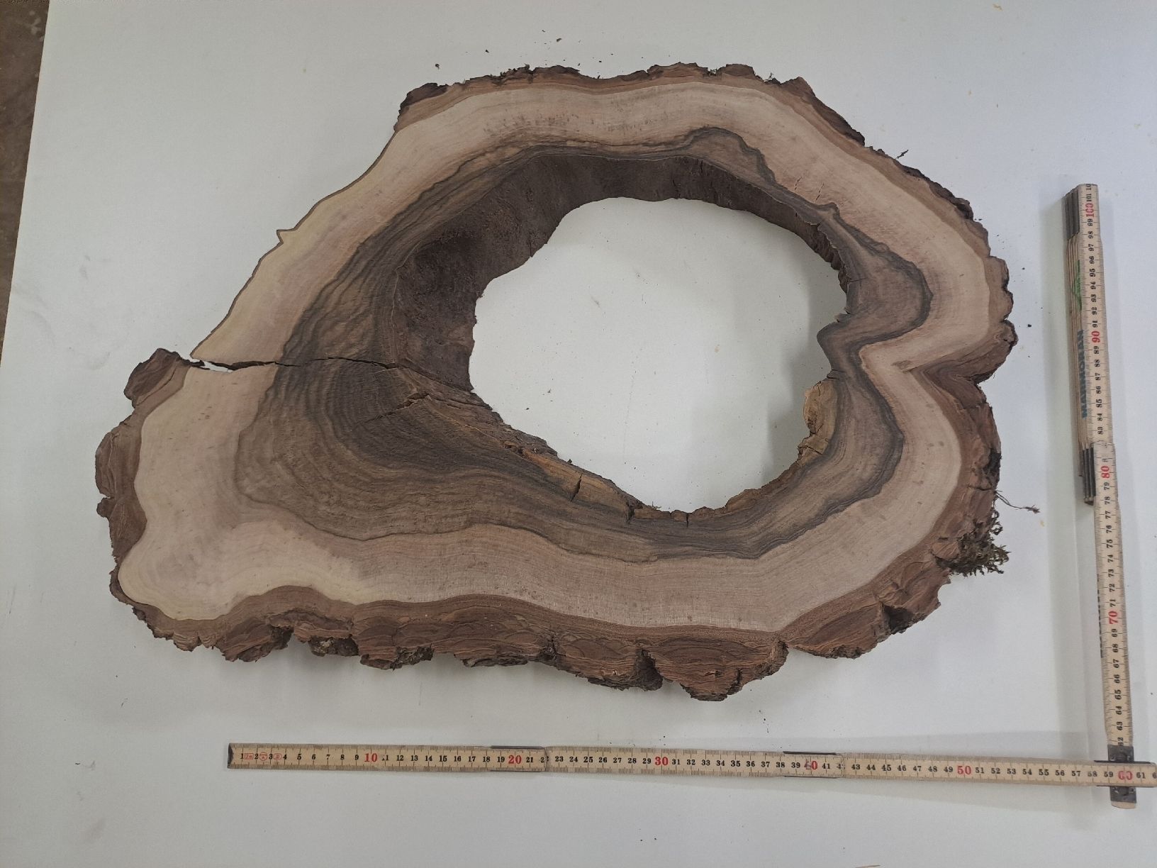 Articoli in legno: nussbauscheibe 620 x 450x 54mm – Nuovo e nell'imballaggio originale da Illnau venduto da adi711 1
