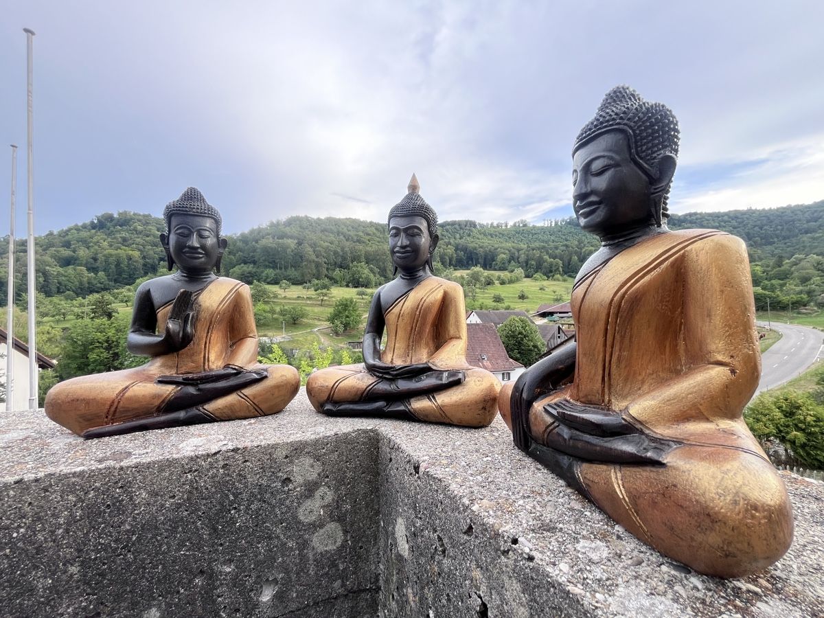Sculture & Statue: 3 handgeschnitzte Holz-Buddhas aus Kambodscha – Nuovo (secondo la descrizione) da Büsserach venduto da Cabstardwarf3