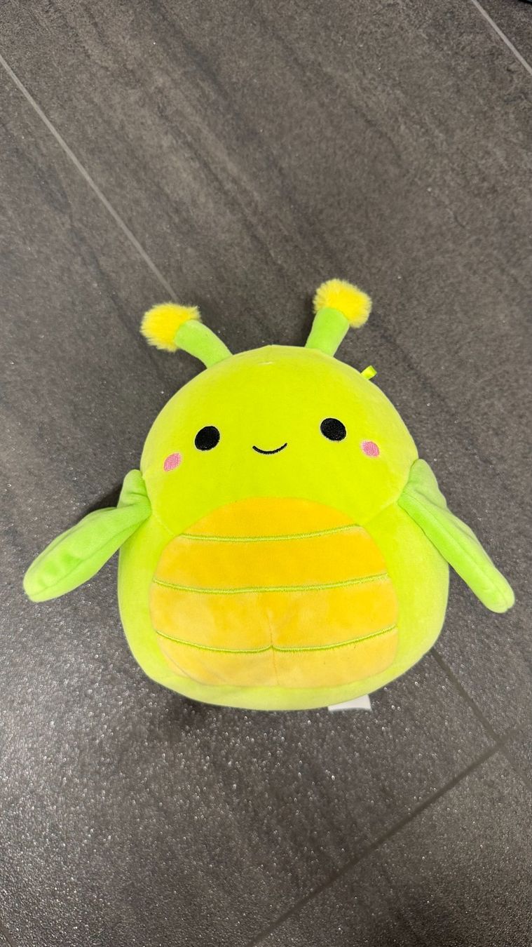Squishmallows Spielzeuge: Squishmallow – Gebraucht aus Geuensee von Mary32 4