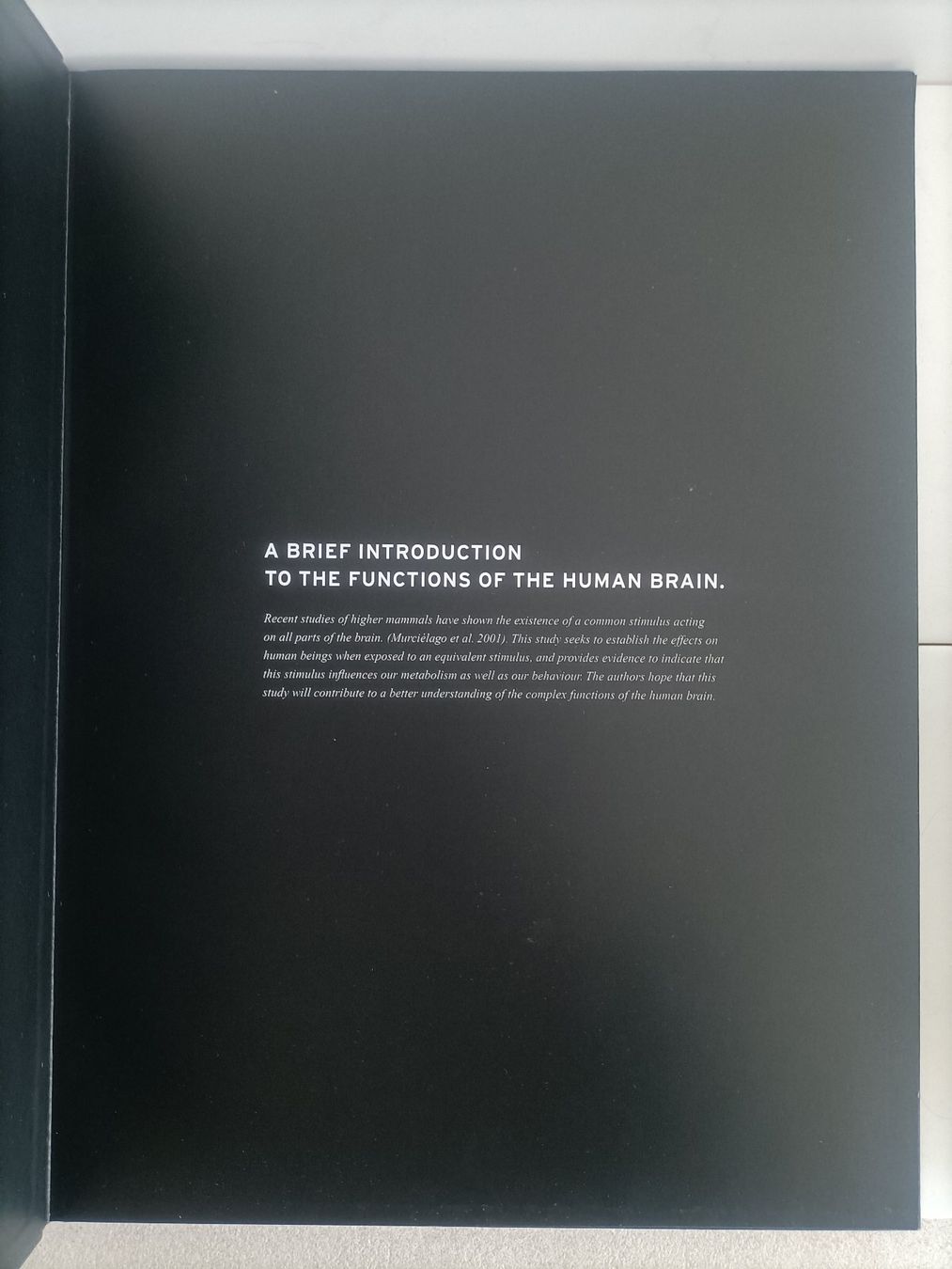 Bücher: Lamborghini Gallardo catalogue brochure prospekt luxe – Gebraucht aus crans montana von AB3963 1