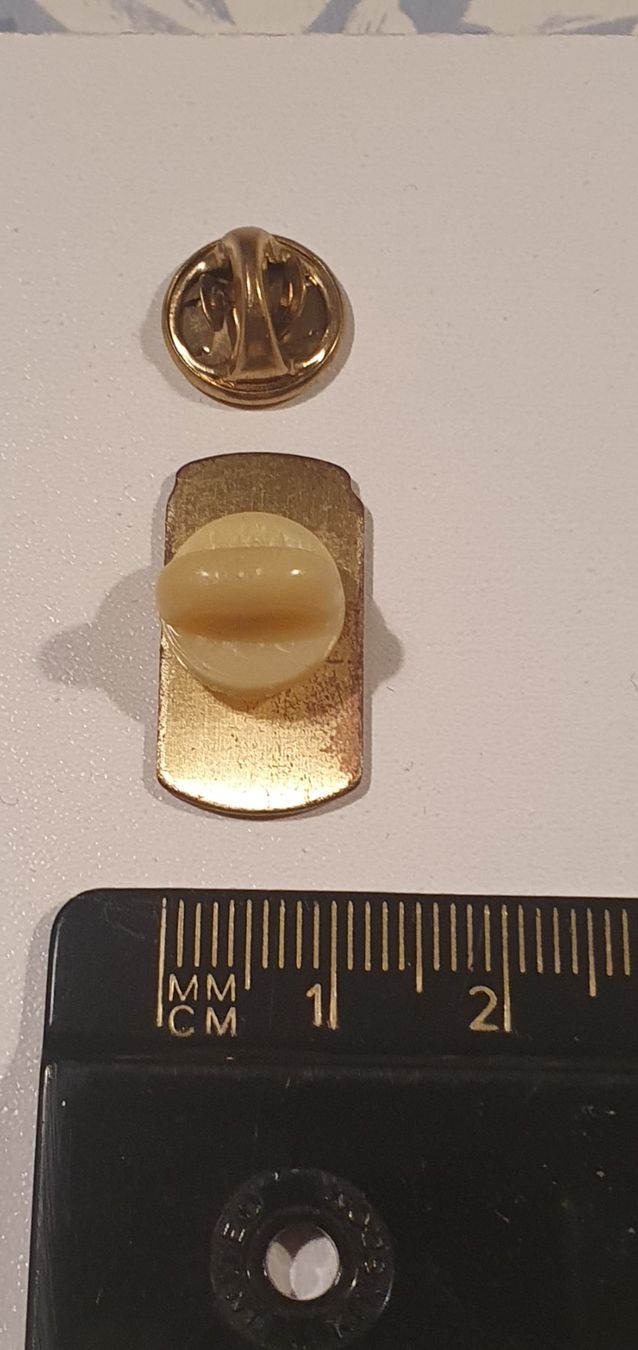 Placchette & Badge: Pin's Bière Budweiser – Usato da St-Barthélemy VD venduto da titeuf5 1
