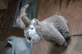 PELUCHE - CM 24 - ZIEGE