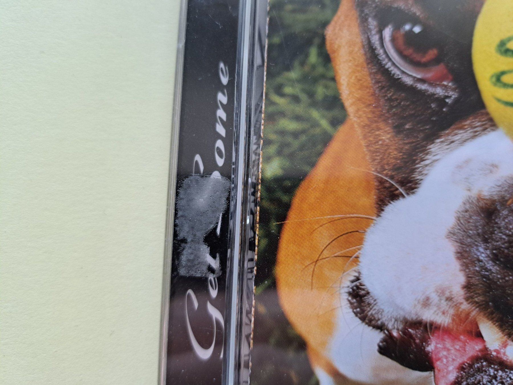 CD: CD Snot – Get Some ( Hardcore, Punk ) – Usato da Pully venduto da bro_n52j 1