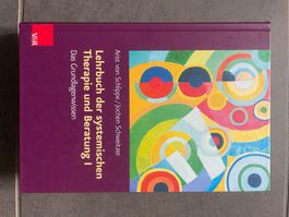 Lehrbuch der systematischen Therapie und Beratung I