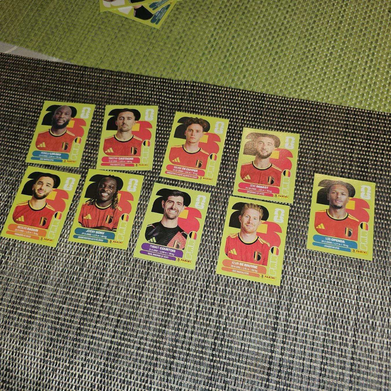 Panini Sammelbilder & Trading cards: Panini – Neu (gemäss Beschreibung) aus Plan les ouates von Braun_charly
