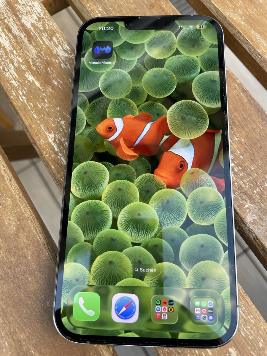 Apple Portables: iPhone 13 Pro Max 256G – D'occasion à Würenlos par SABAI4SABAI 1