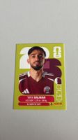 Carte panini 2026 - QAT 8
