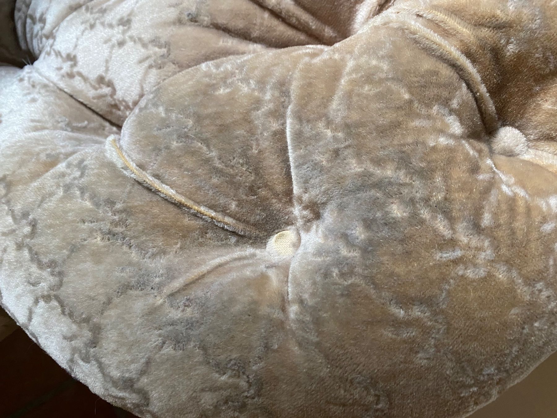 Divani: Sofa, Antik Louis Philipe – Usato da Uster venduto da ros_pym8 9