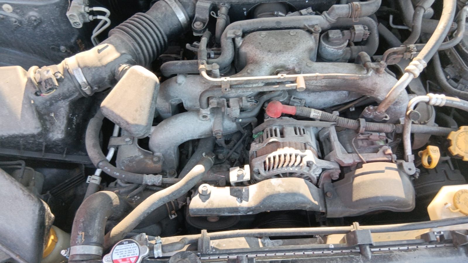 Subaru Autos: SUBARU Forester 2.0X 4x4 – D'occasion à Rebstein par TonyRasta-Autohandel 7