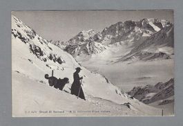 GRAND ST. BERNARD - A LA RECHERCHE D'UNE VICTIME, *