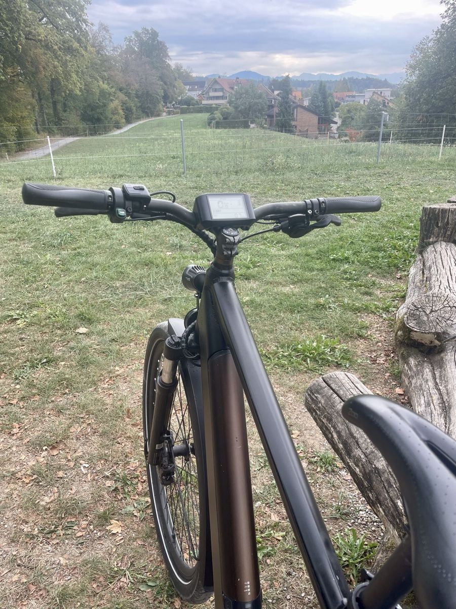Trelago Vélos: S Pedelec/E-Mountainbike – D'occasion à Uster par FRIEDEN8610 5