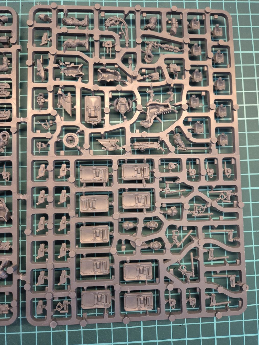 Kit di modellismo & Modellini statici: Warhammer 40k - Exaction Squad (Kill Team) – Nuovo (secondo la descrizione) da Zug venduto da toetoe79 1