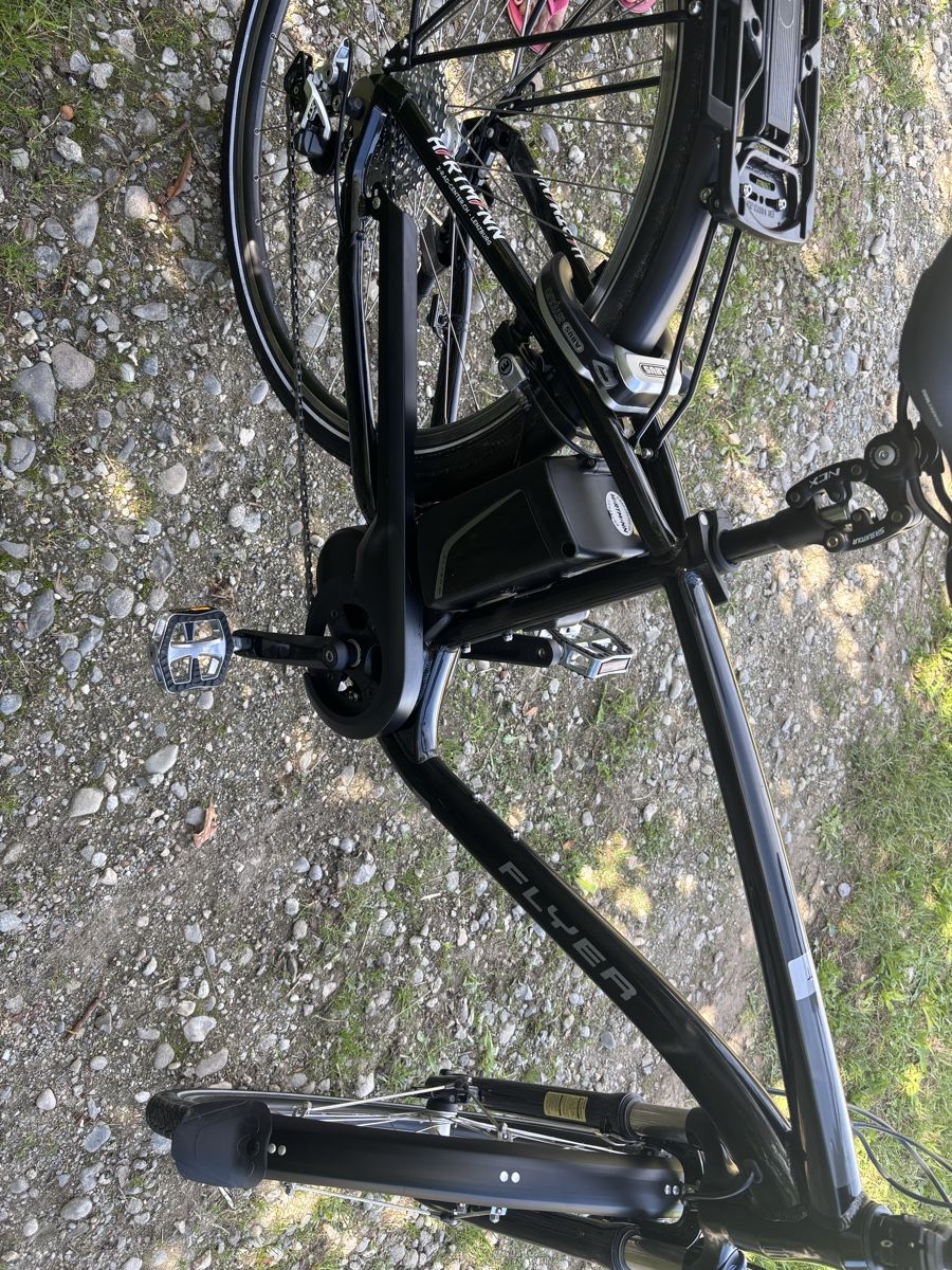 Flyer Biciclette: Flyer Sehr Wenig Gebraucht  – Usato da kleindietwil venduto da Mauzi2016 7