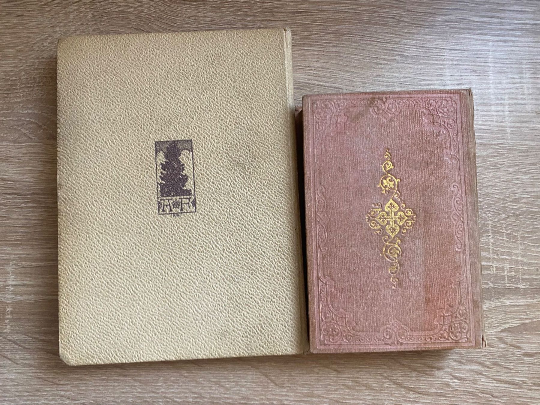 Libri: 2 Bücher antik 1853 - 1904 – Usato da Bösingen venduto da Trigusik 6