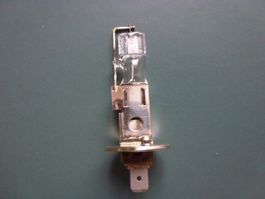 H1 12V 55W Neu Halogen Autolampen im 10 Pack