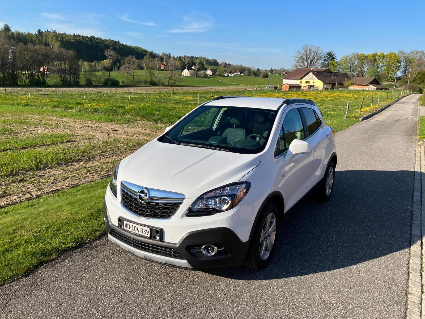 Automobili: OPEL Mokka 1.4i T Cosmo 4WD – Usato da Gryon venduto da mel_pzw6