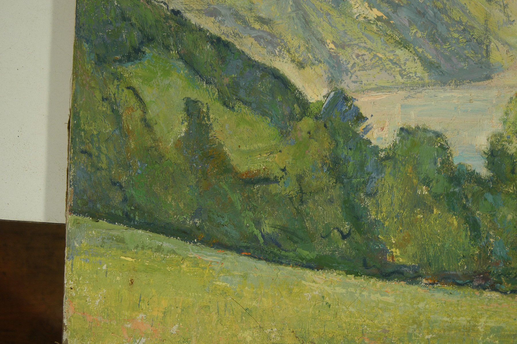 Dipinti: Landschaft am See Oel auf Leinwand – Usato da Herisau venduto da Wisen 2