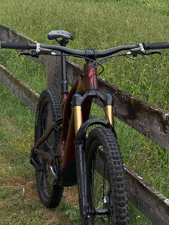Specialized Biciclette: Specialized Turbo Levo Pro, S4, ab Service, mit 2 Batterien – Usato da Zug venduto da SaMa7320 2