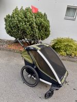 Thule Chariot Cab 2 – Kinderanhänger / Veloanhänger – gepfle