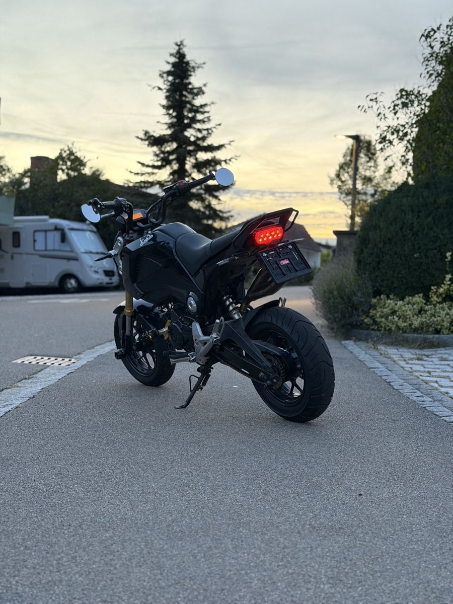 Honda Altro: Honda MSX 125 Grom – Usato da Uhwiesen venduto da cyr_hd22 1