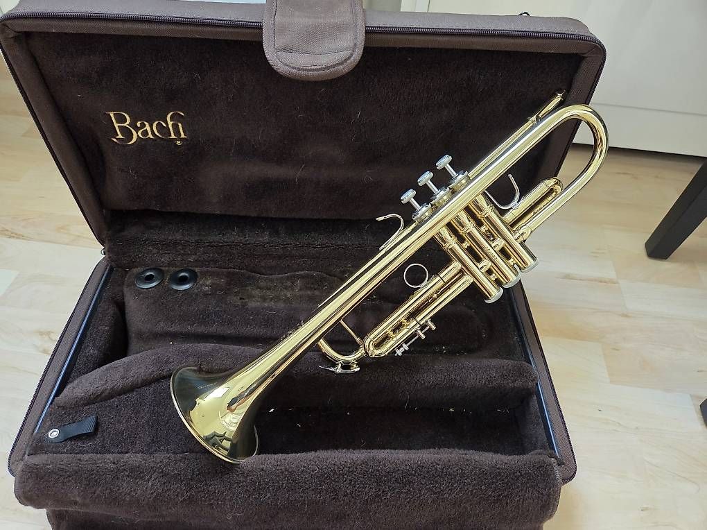 Strumenti musicali: Trompete Bach Stradivarius Modell 72 ML, inkl Koffer – Usato da Zofingen venduto da Biker4800