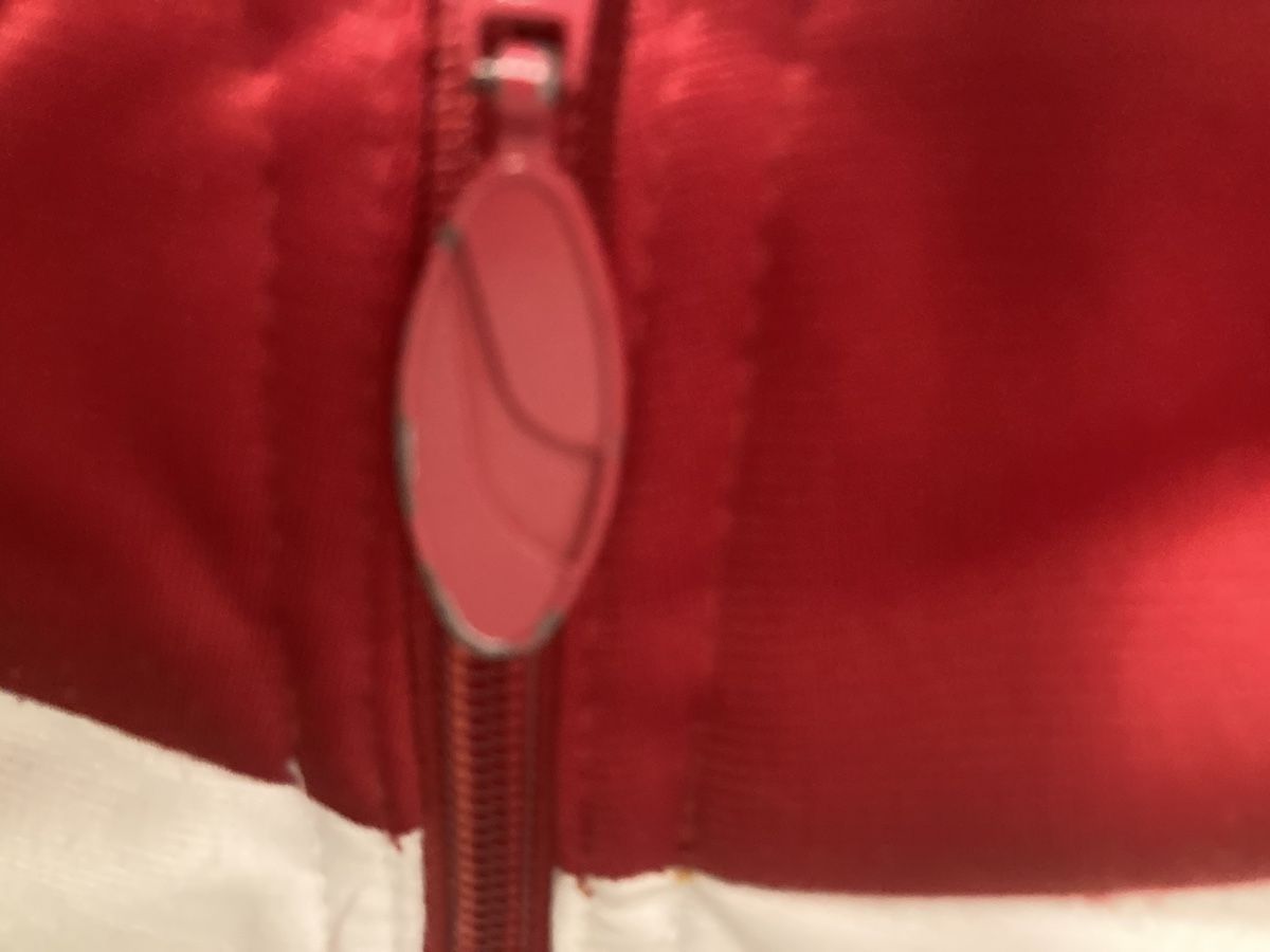 Puma Giacche: Vintage Puma Trainerjacke Firebird – Usato da Ins venduto da teamfairerdeal 3