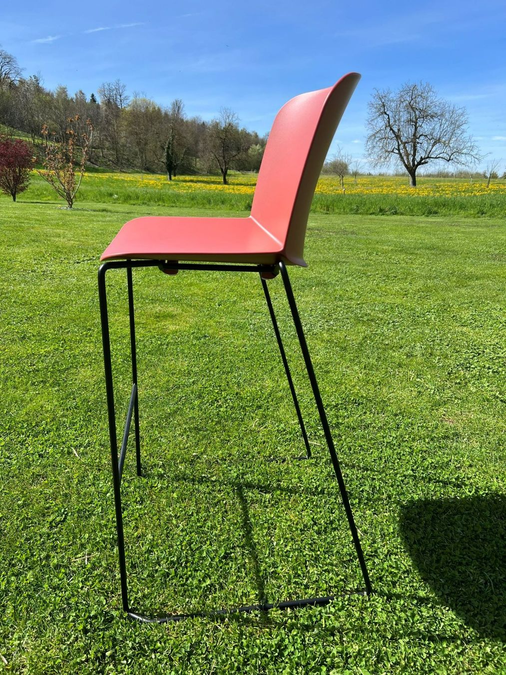 Sgabelli: Barhocker für Cafe oder Bistro - Setpreis 2 Stück in der Box – Nuovo e nell'imballaggio originale da Erlen venduto da casaterra 3