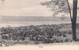 Stäfa ZH // 1909 Totalansicht // Sommer