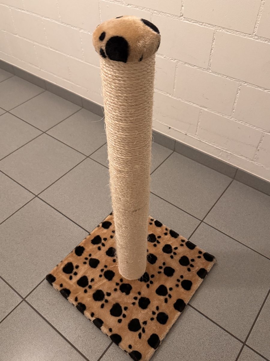 Arbres à chats: Kratzbaum – D'occasion à Dietlikon par Twix_ 1