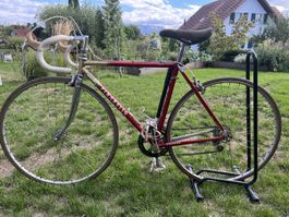 Pinarelli Rennvelo Campagnolo 